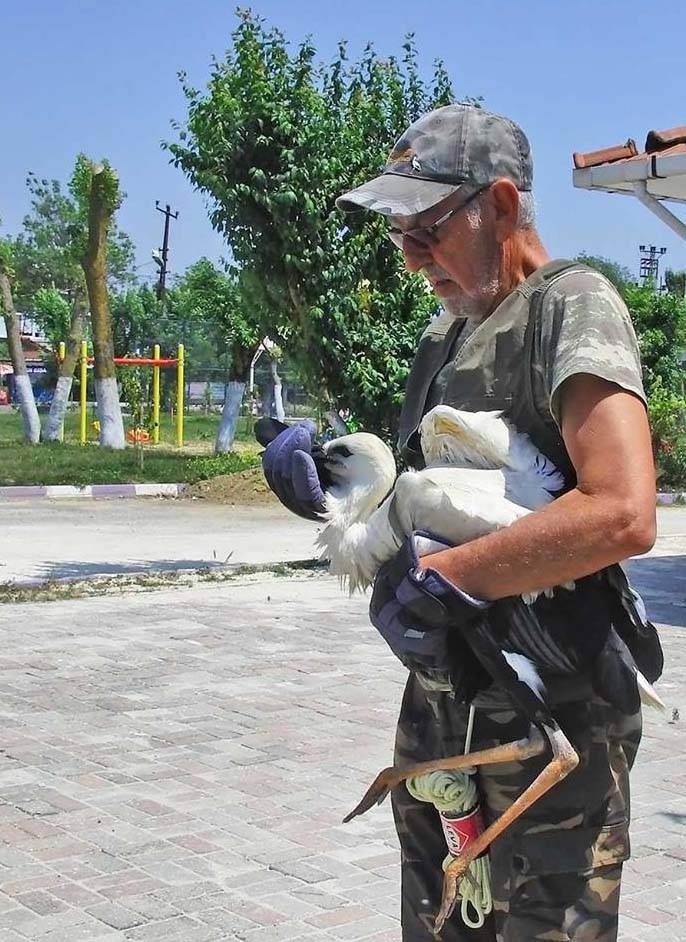 Türkiye’de leylek mevsimi! Konya hep güzergâhlarında 13